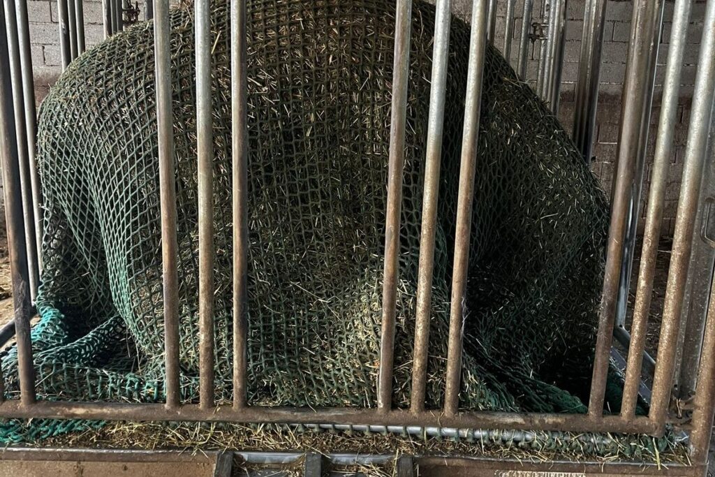 Heuraufe mit Rundballen und Heunetztuch – stabile Slowfeeding-Lösung