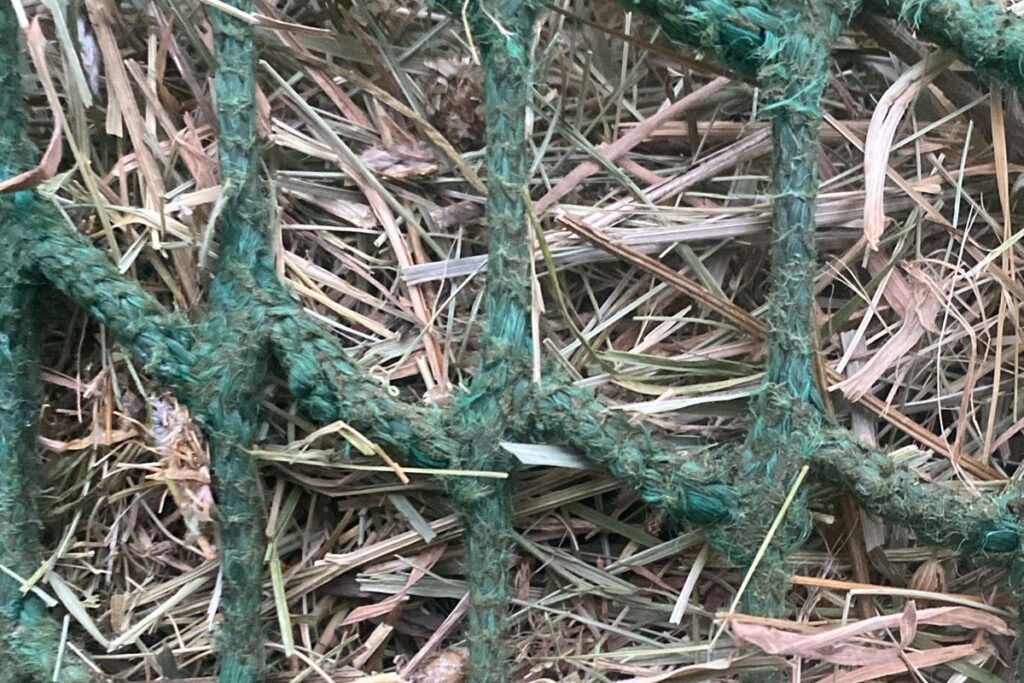Nahaufnahme knotenloses Heunetz im Offenstall – Struktur und Abrieb im Alltag