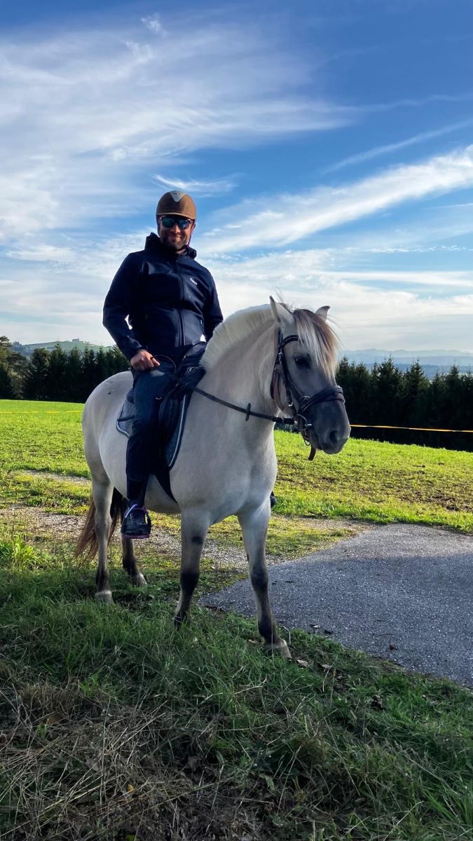 Reiter auf einem Fjordpferd beim Ausritt auf einer Wiese.