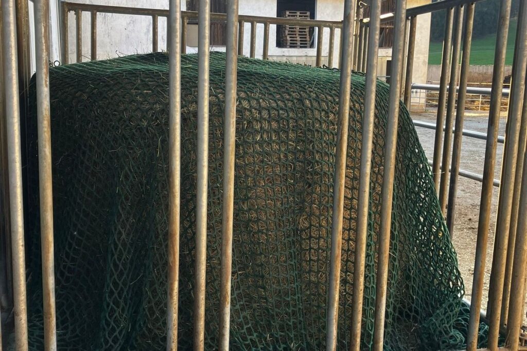 Heunetz in der Heuraufe im Offenstall als Praxis-Detail