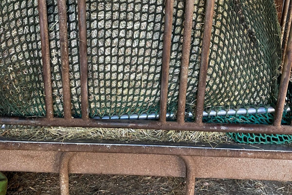 Heunetz auf 2x2-m-Rahmen in der Heuraufe bei 150-cm-Rundballen