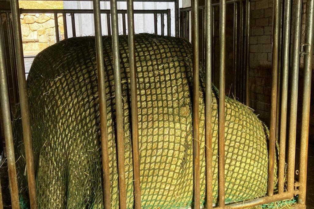 Engmaschiges Heunetz auf Rundballen in der Heuraufe