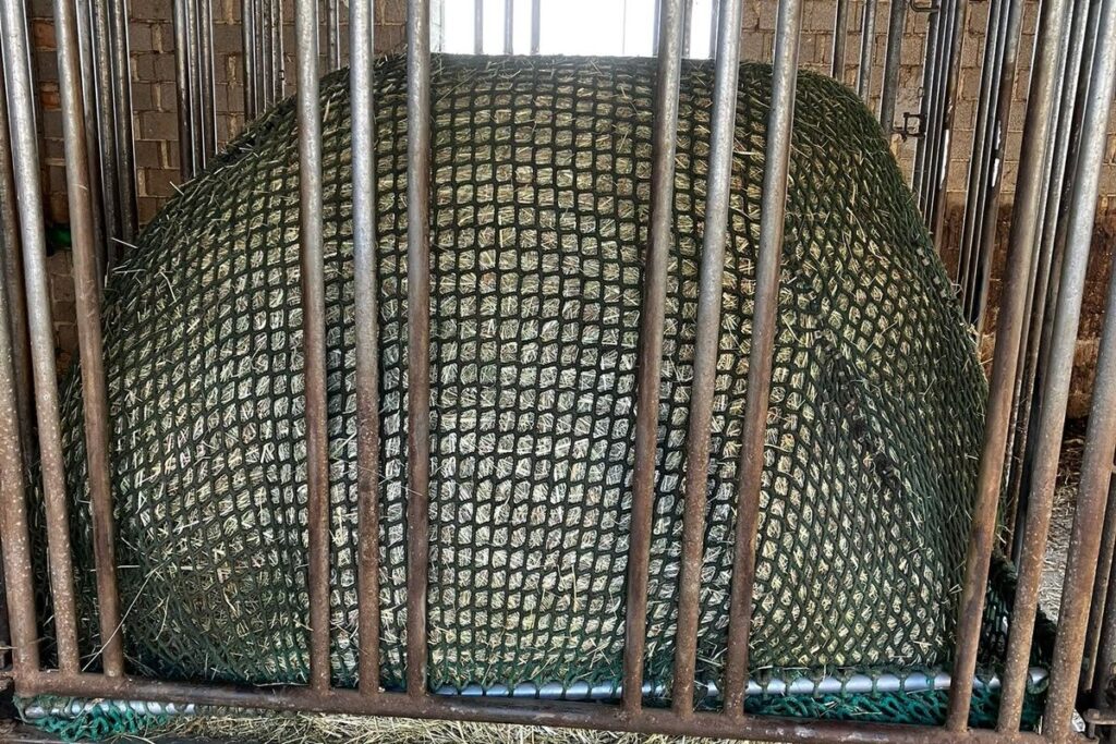 Rundballen-Heuraufe im Offenstall mit Blick auf Bauart und Fressbereich